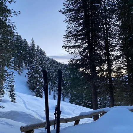 Apartament Haus Michael *